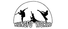 KunFu World功夫扇定制