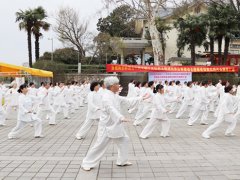 玄武湖举行团体及个人太极扇、太极剑汇报表演